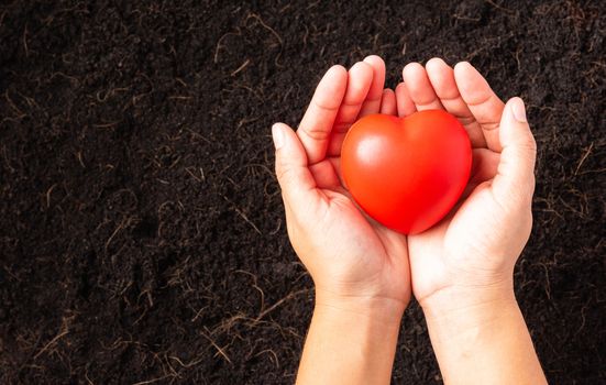 Top view of farmer woman hand holding red heart on compost fertile black soil background and copy space, Concept of love nature, Save World, Earth day and Hands ecology environment