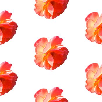 Seamless pattern with roses isolated on a white background in hard light from behind from above. Flat lay, top view. Pop art creative design for textile, fashion, wallpaper, fabric, wrapping paper.
