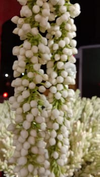 white colored beautiful flower with green leaf