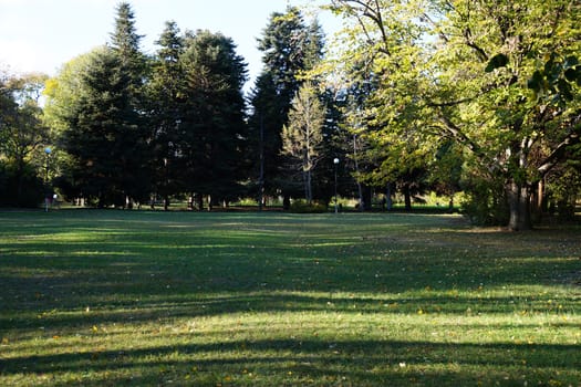 long shadows on a green lawn in an autumn park.