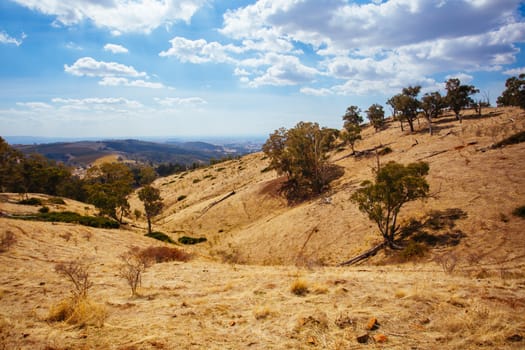 King Valley landscape in the late afternoon in Myrrhee in the King Valley, Victoria, Australia