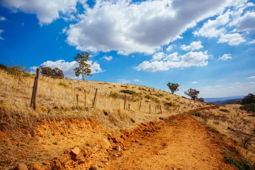 King Valley landscape in the late afternoon in Myrrhee in the King Valley, Victoria, Australia