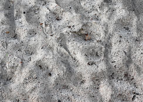 Detailed close up view on sand on a beach at the baltic sea in Germany