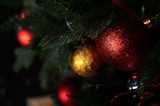 Shiny Christmas red ball hanging on pine branches with festive dark background
