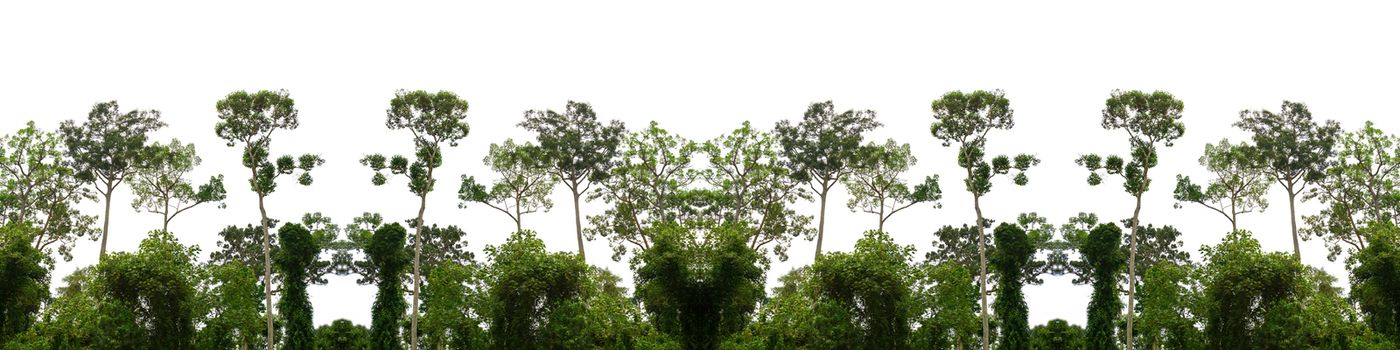 Green forest billboard isolated from white background