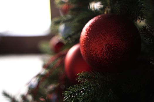 Shiny Christmas red ball hanging on pine branches with festive background