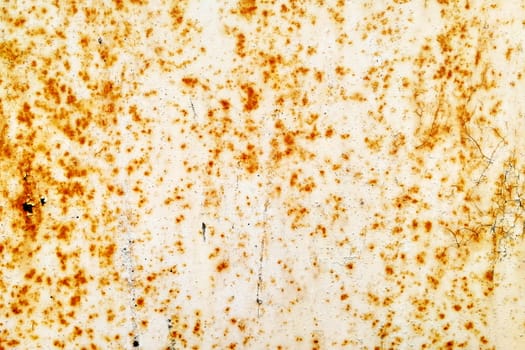 Spots on the paint. The textured background. View from the front.