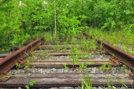 Vintage railroad route and old rails