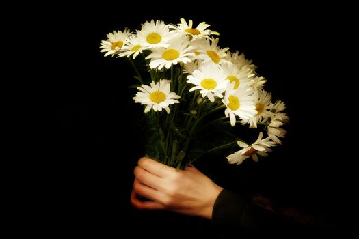 Front view. bouquet of daisies in hand on a black background