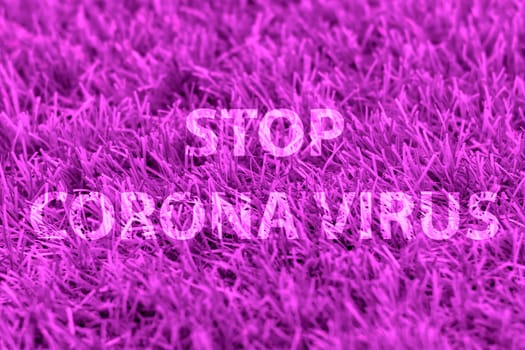 Stop corona virus against backdrop of green grass. Words.