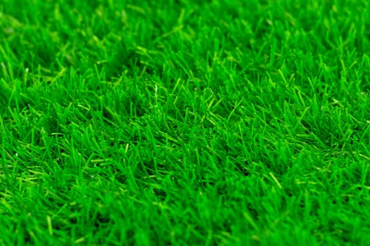 Green grass. Textural background and Blured