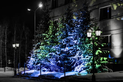 Trees illuminated by spotlights. City buildings.