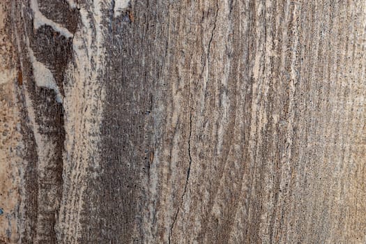 Fragment Wooden background. View from above.