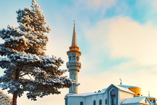 Mosque and Siberian pine. Russia. View from the front.