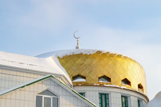 Dome of mosque in Siberian city. Horizon is littered with author's idea.