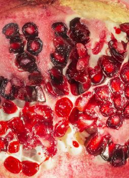 Ripe pomegranate close up section , bright red color and white -yellow fruit  membrane , studio shot , front view