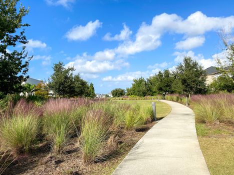 A beautifully landscaped walkway in a neighborhood lined with trees, grass, and pampas grass.
