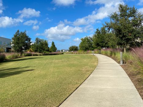 A beautifully landscaped walkway in a neighborhood lined with trees, grass, and pampas grass.