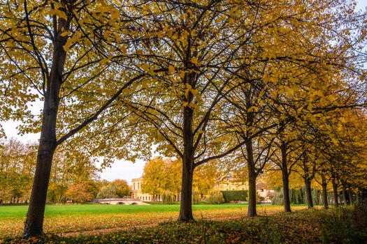 View of the trees at the back of Trinity College in autumn, Cambridge, UK.