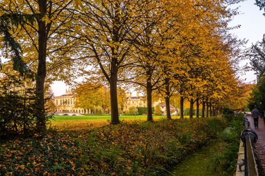 View of the trees at the back of Trinity College in autumn, Cambridge, UK.