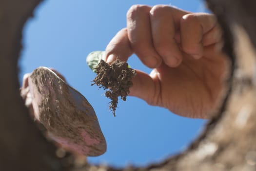 the hardworking hand that cultivates the garden seen from the inside of the earth