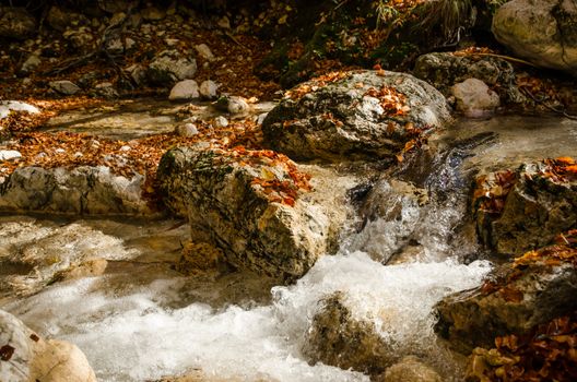 Autumn colors.  A torrent flows impetuously between rocks covered with autumn leaves of various colors.