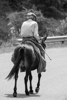 An old man on his mule back to home after the job in countryside. Black and white picture