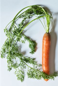 One  fresh carrot with stem and leaves on a white background , studio shot ,top view , vertical composition ,