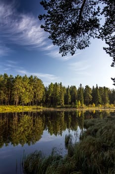 Beautiful blue sky over the lake and coniferous forest.