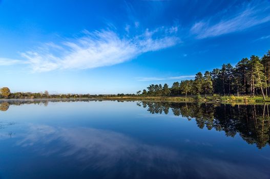 Beautiful blue sky over the lake and coniferous forest.