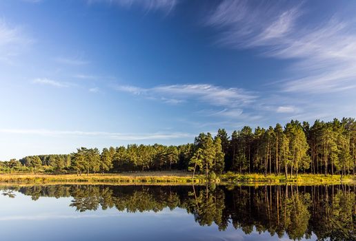 Beautiful blue sky over the lake and coniferous forest.