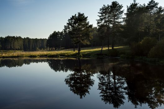 Beautiful blue sky over the lake and coniferous forest.