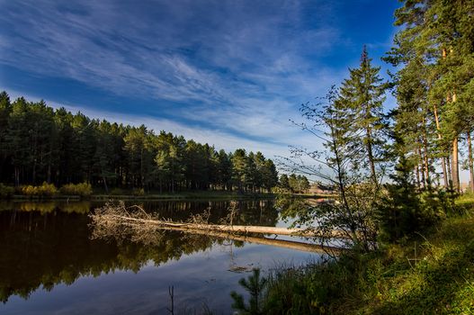 Beautiful blue sky over the lake and coniferous forest.