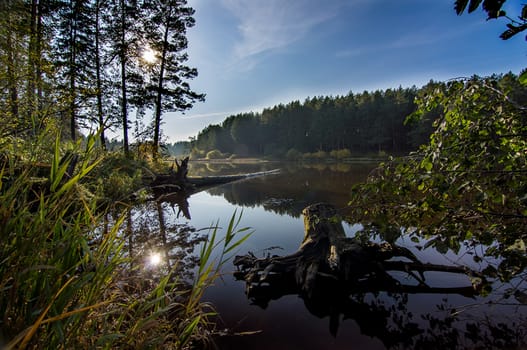 Beautiful blue sky over the lake and coniferous forest.