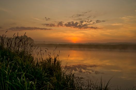 Lake at sunset, coastal grass and trees. The light of the sunset above the water.