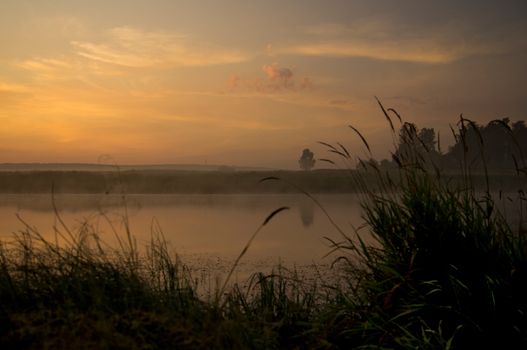 Lake at sunset, coastal grass and trees. The light of the sunset above the water.