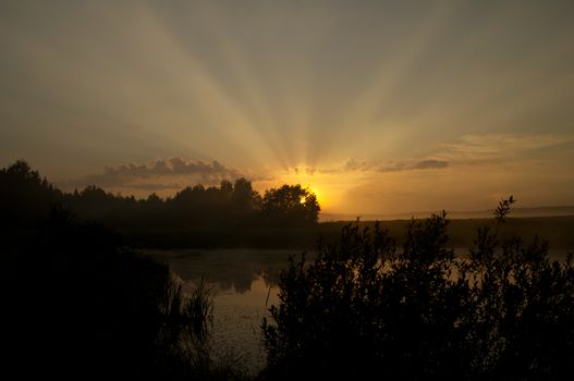 Lake at sunset, coastal grass and trees. The light of the sunset above the water.