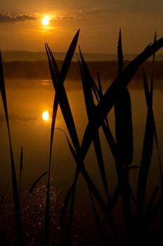 Lake at sunset, coastal grass and trees. The light of the sunset above the water.