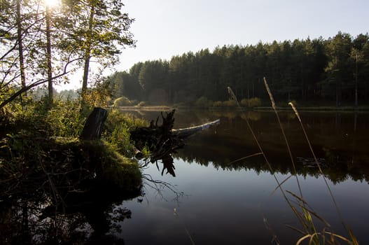 Lakes in the autumn forest. Forest autumn landscape, beautiful nature.