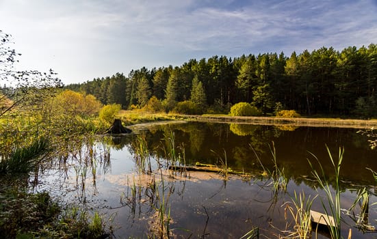 Lakes in the autumn forest. Forest autumn landscape, beautiful nature.
