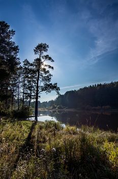 Lakes in the autumn forest. Forest autumn landscape, beautiful nature.