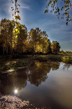 Lakes in the autumn forest. Forest autumn landscape, beautiful nature.