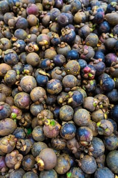 Mangosteen fruits fill the frame close up.