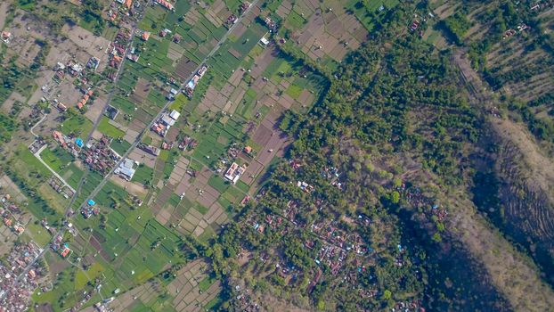 Many villas with brown-orange shingle roofs between tropical trees on the sky background in Ubud on Bali. Sun is shining onto them.