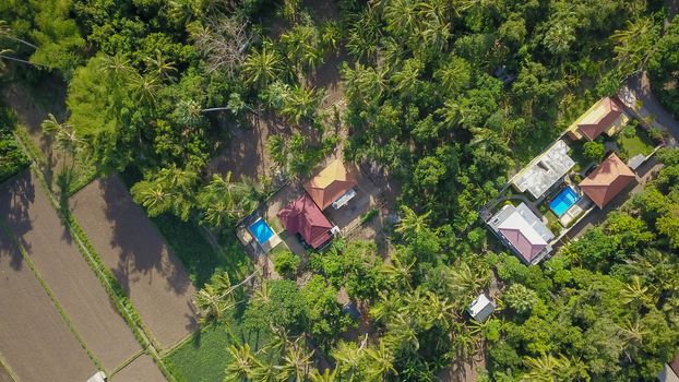 Many villas with brown-orange shingle roofs between tropical trees on the sky background in Ubud on Bali. Sun is shining onto them.