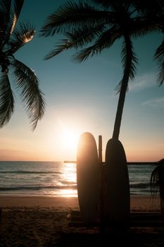 Surfboards beside coconut trees at summer beach with sunset light background.