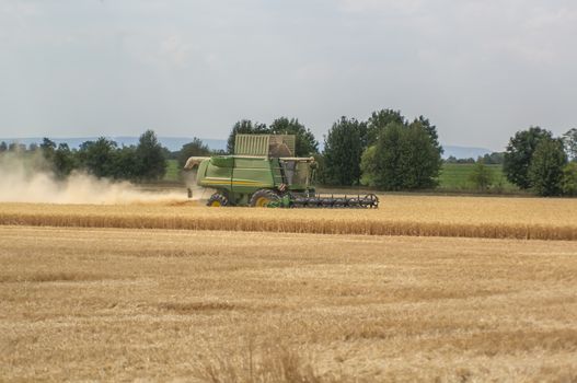 harvester harvests the cornfield