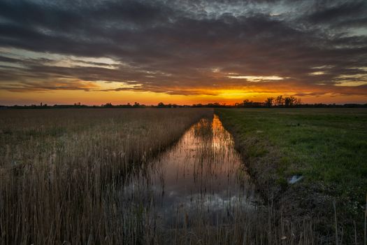 A water canal with reeds and a beautiful sunset, summer view