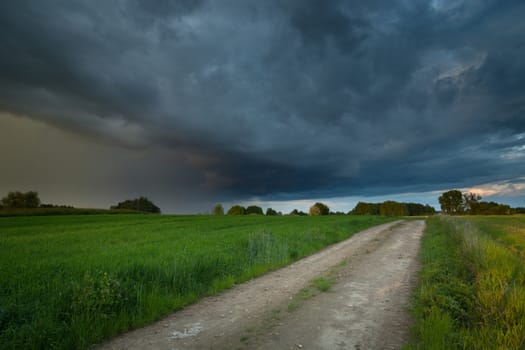 Rural road in a green field and the dark cloud with rain, summer view