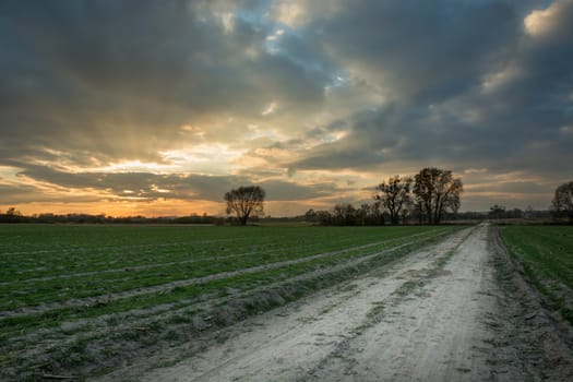 Rural road through green fields and sunset, evening view